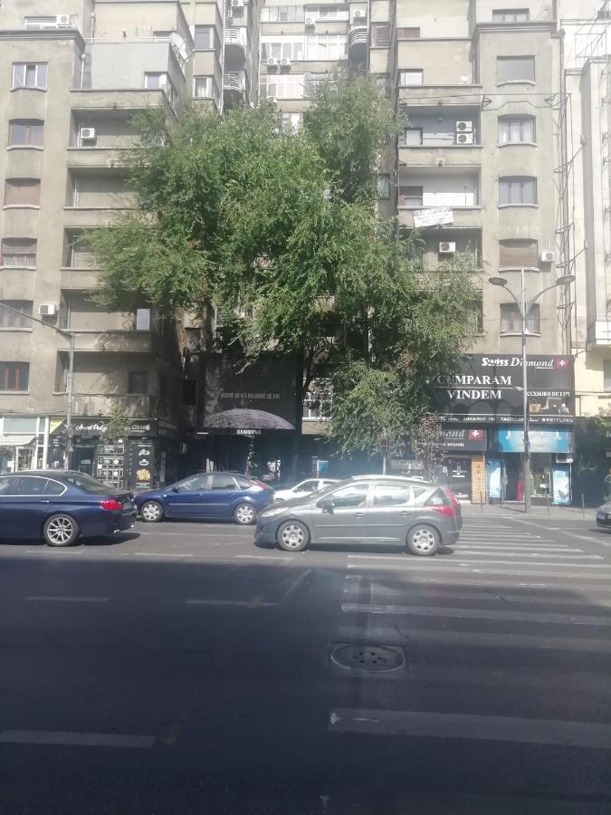 Studio Ultracentral Universitatea Βουκουρέστι Εξωτερικό φωτογραφία